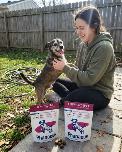 Happy small dog playing outdoors with owner next to Phanaeus dog joint and mobility support chews.
