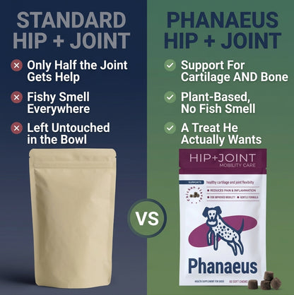 Comparison chart showing Phanaeus dog joint support benefits versus standard hip and joint supplements.