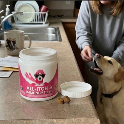 Dog owner giving Phanaeus All-Itch & Immunity chew to their dog in the kitchen